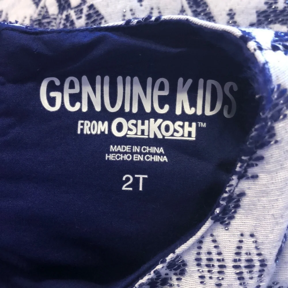 🦋Oshkosh Genuine Kids GUC size 2 Beautiful dress
